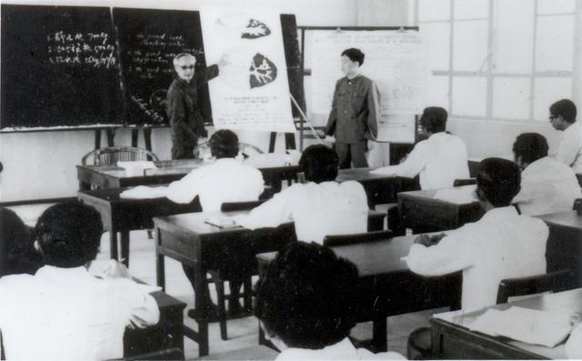 鱼类的繁殖技术,人工繁殖鱼最新技术