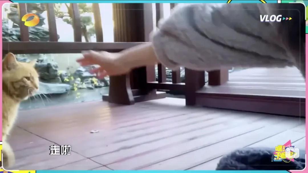 omg李佳琦原版素材,omg李佳琦香水