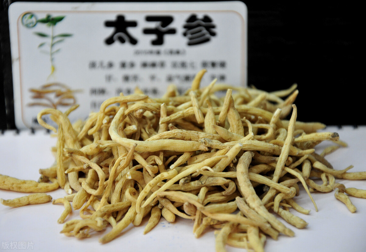 人参适合各种气虚吗,人参真的能补气吗