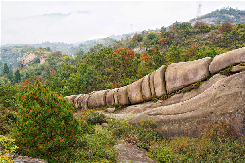 江南水乡旅游攻略四天三晚,温州旅行攻略四天三夜