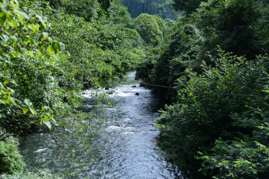 花果园森林公园,花果园生态果园