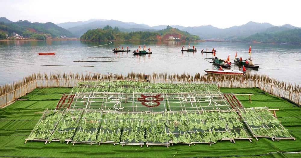 【谁不说咱家乡美】美丽中国，“乡”约万安（河西片）