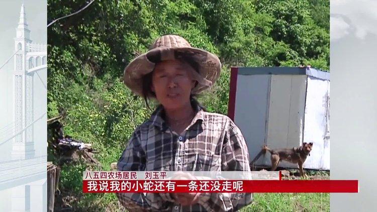 没进家门的蛇能不能打死,大蛇生了一窝小蛇