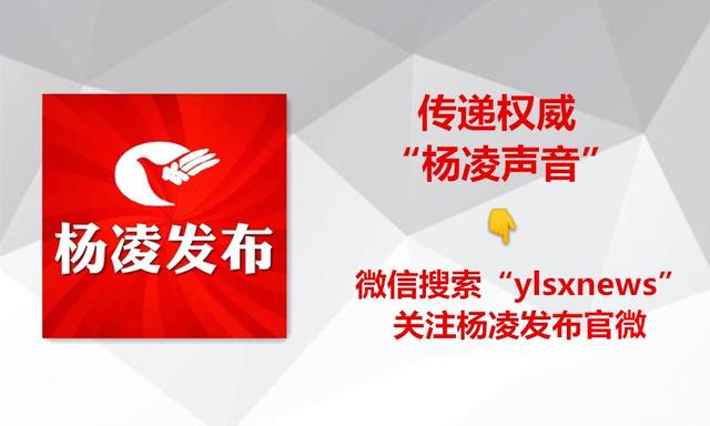 农林科技大学创业项目,农科类创新创业大赛