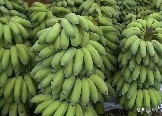 买来的水果不甜怎么办,买到的水果烂了怎么办