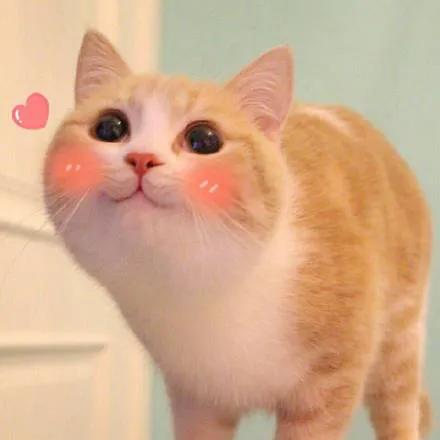 修辞法写作,口语中常用修辞手法有哪些