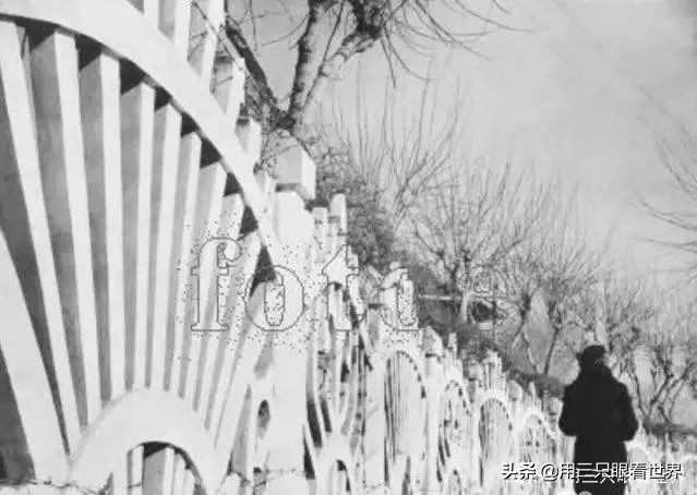 记忆中的哈尔滨怎么样,哈尔滨老建筑简介