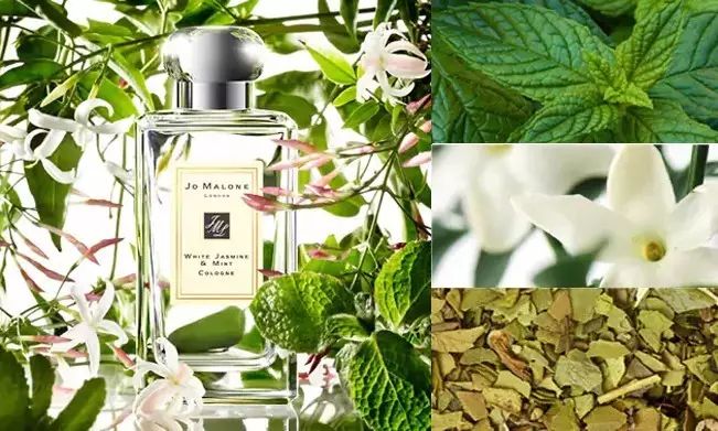 祖马龙香水测评,祖玛珑红玫瑰香水测评