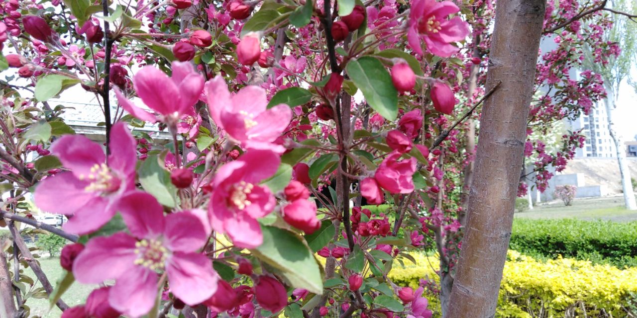 沈阳长白岛森林公园一日游攻略,长白岛森林公园五一