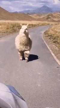 给你70万,拿一百万没有手机你愿意吗