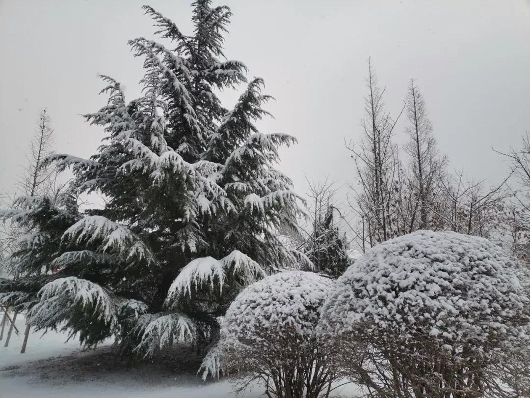 辽宁省民办大学（二）大连东软信息学院