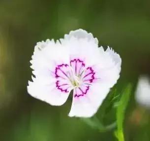 来，跟着“新高淳人”看高淳～