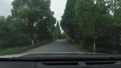 暑假莫干山旅游推荐自驾游,暑假亲子自驾莫干山