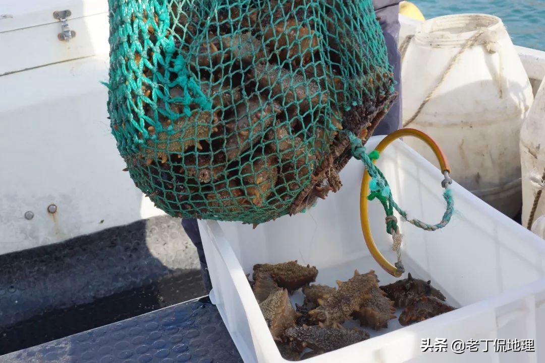 中国海鲜地图,中国海鲜最多地区