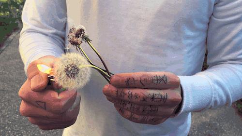 父母为什么不接受纹身,为什么父母都反对儿女纹身