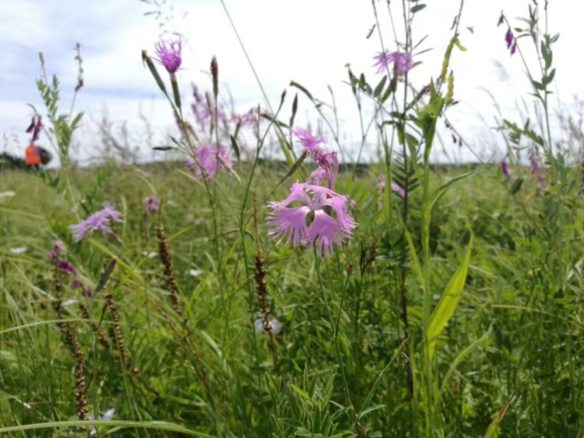十一去塞罕坝旅游攻略,北京塞罕坝自驾游攻略最新