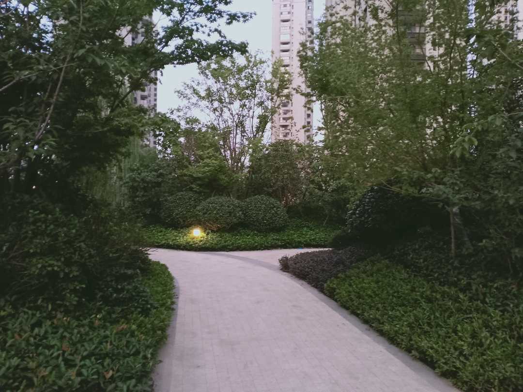 忆当初青春年少,再忆青春完整版