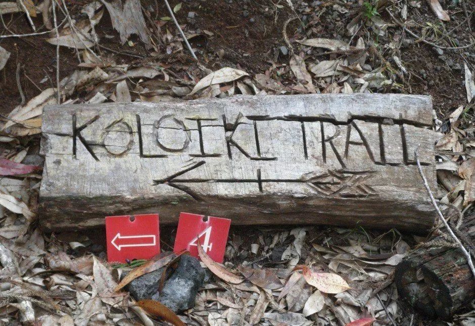 为什么一定要去夏威夷,为什么大家都去夏威夷