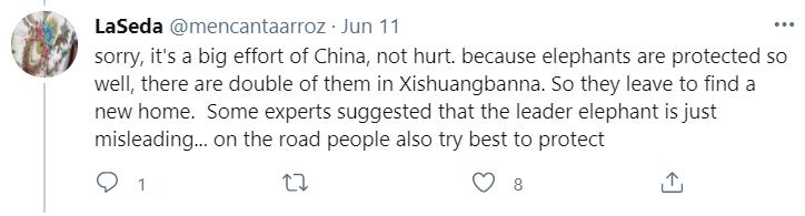 云南象萌翻全世界!外网追直播“吸大象”,夸中国护象措施太可爱