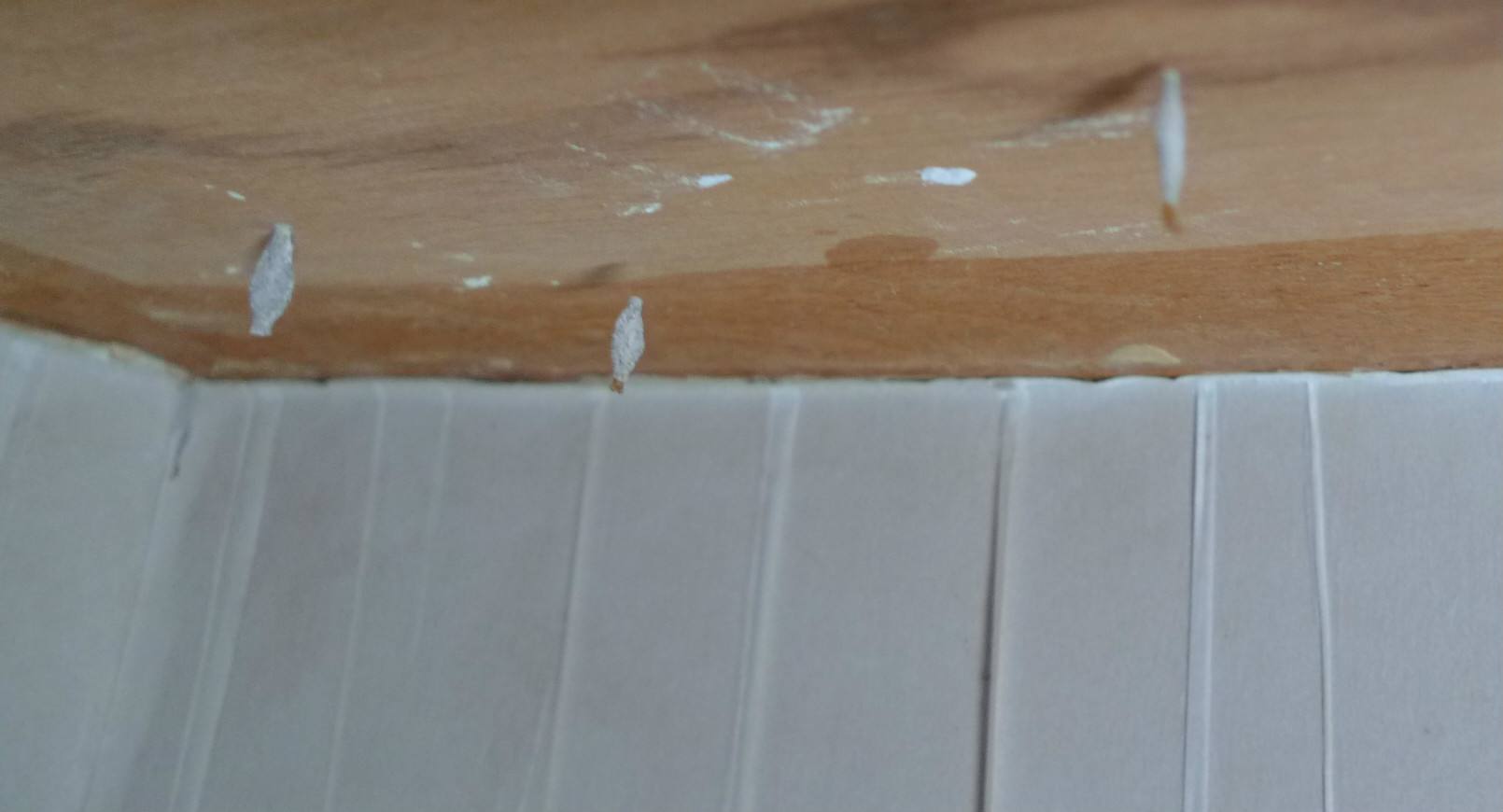 衣服放在衣柜里有白色的小虫子,衣柜中的衣服有小虫子要不要洗