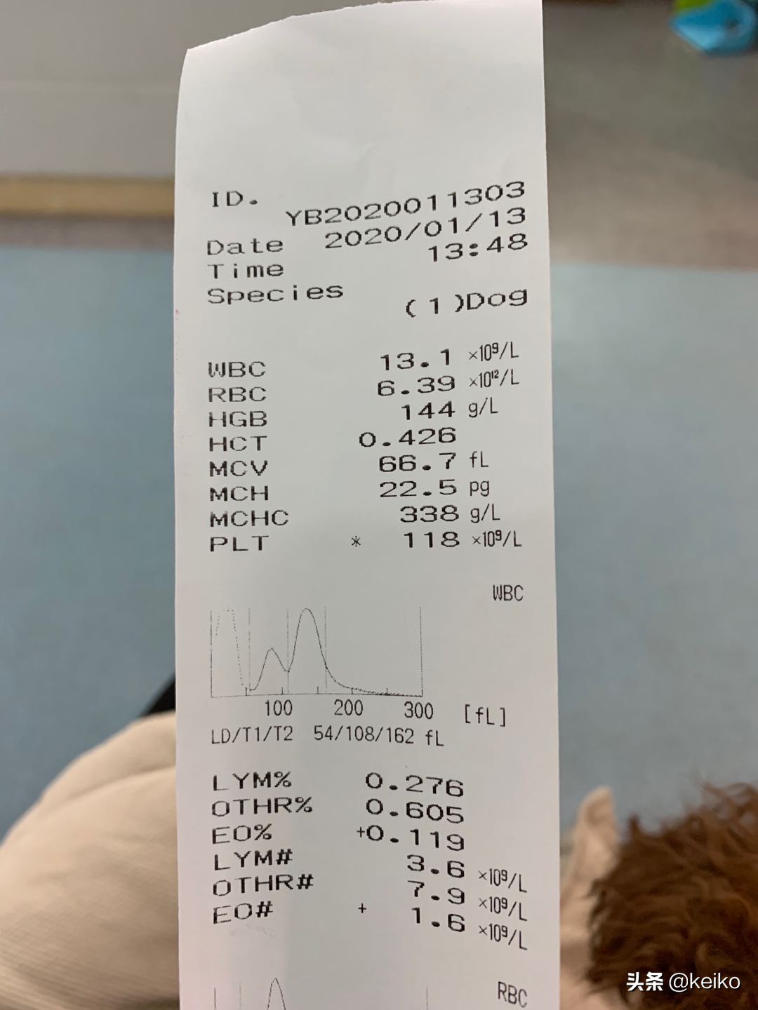 巴贝斯寄生虫治疗多久,巴贝斯寄生虫会传染人吗