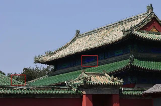 佳能rf100-500mm镜头拍鸟,佳能长焦相机100倍