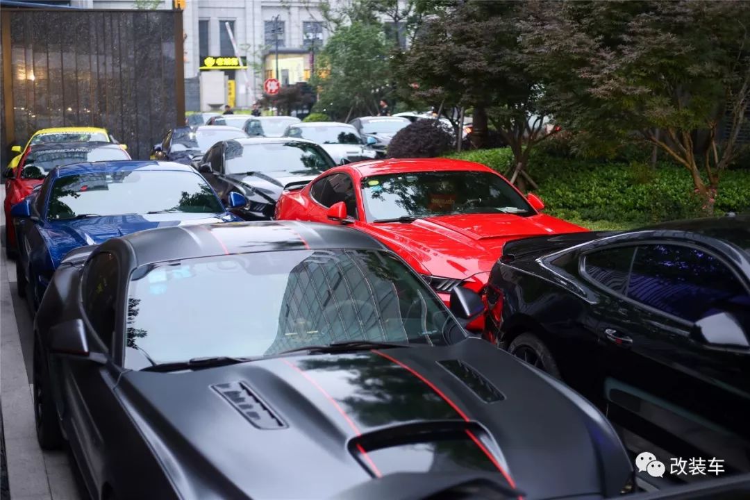 福特mustang杭州,杭州福特野马车友会