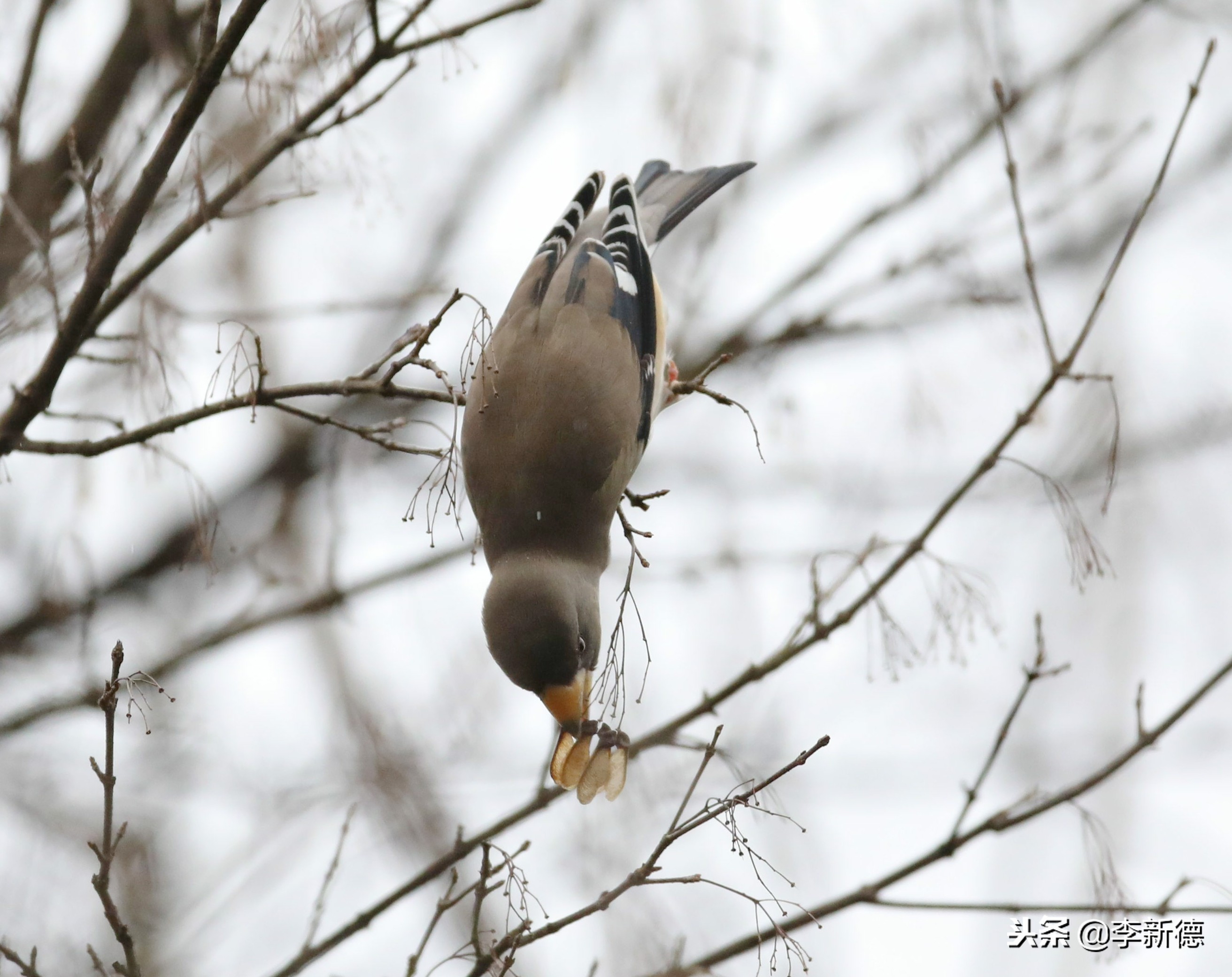 合肥高新区蜀峰湾,合肥市蜀峰湾