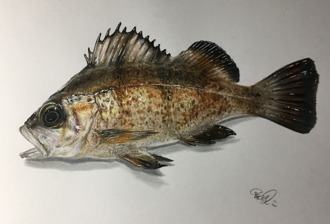 失明女孩铅笔画,保护视力守护心灵素描画