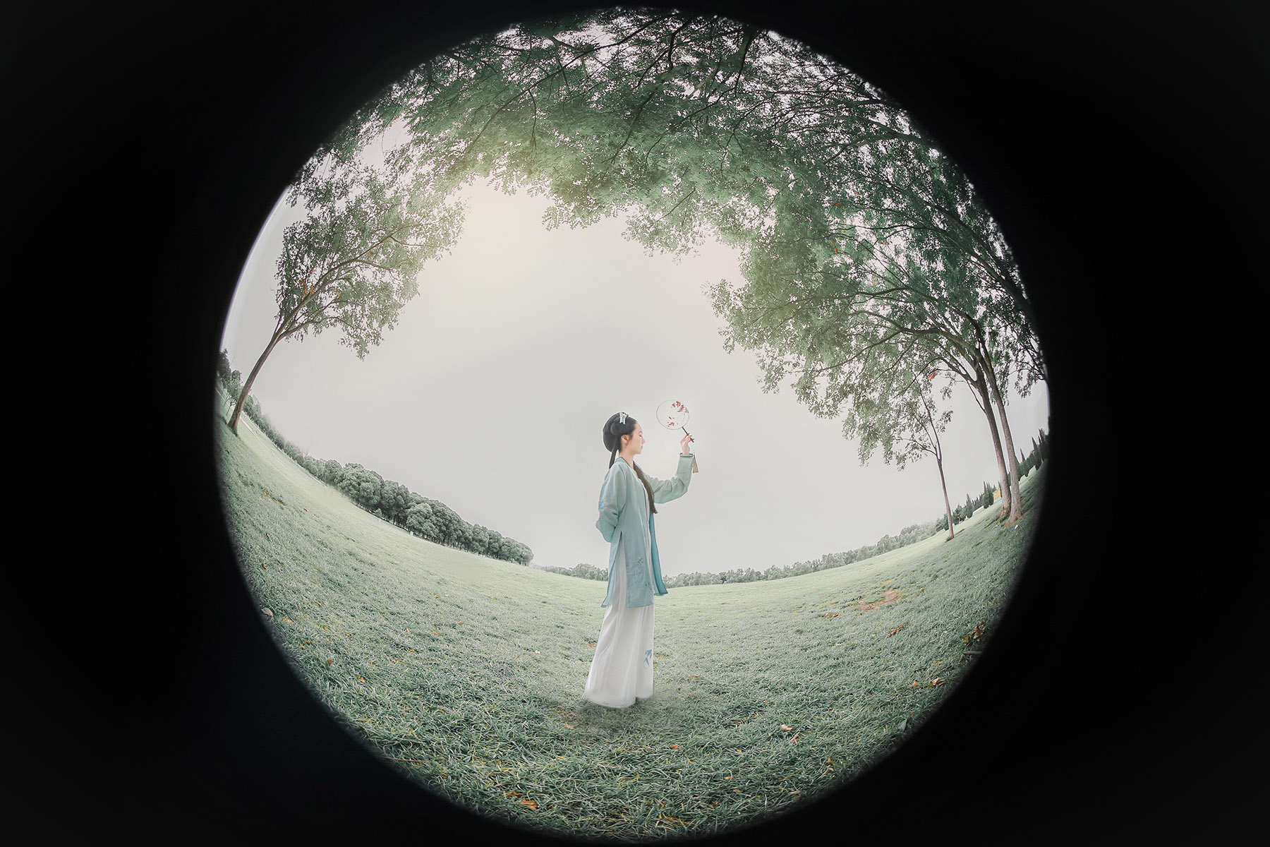 特殊的顶级机和半画幅中的战斗机——弯弯谈摄影器材（5）