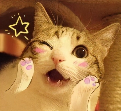 连江长龙美人橙,连江长龙红美人柑橘