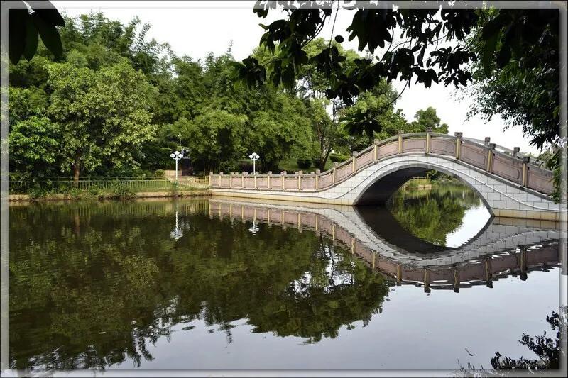 深圳十佳免费湿地公园,深圳十大免费公园排行榜最新名单