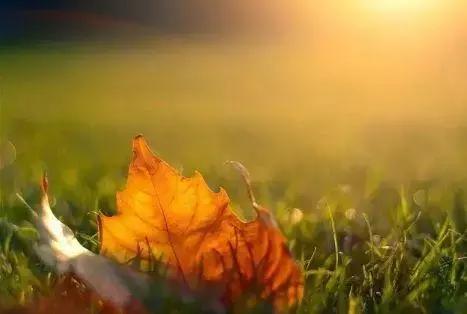 前女友回来找我但是我没什么感觉,前女友突然回来找我复合怎么办