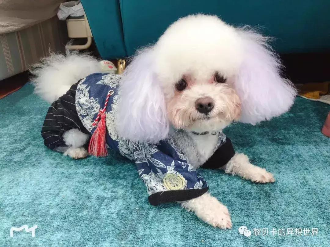 这些东西买的时候好肉痛，用的时候却觉得超值！