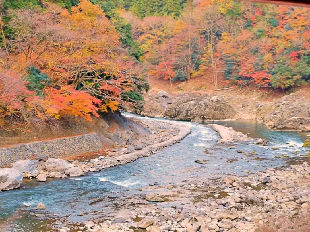 岚山哪有好玩的,日照岚山区值得去吗