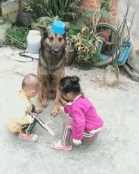 孩子玩过家家是什么思维,小孩子玩过家家好吗