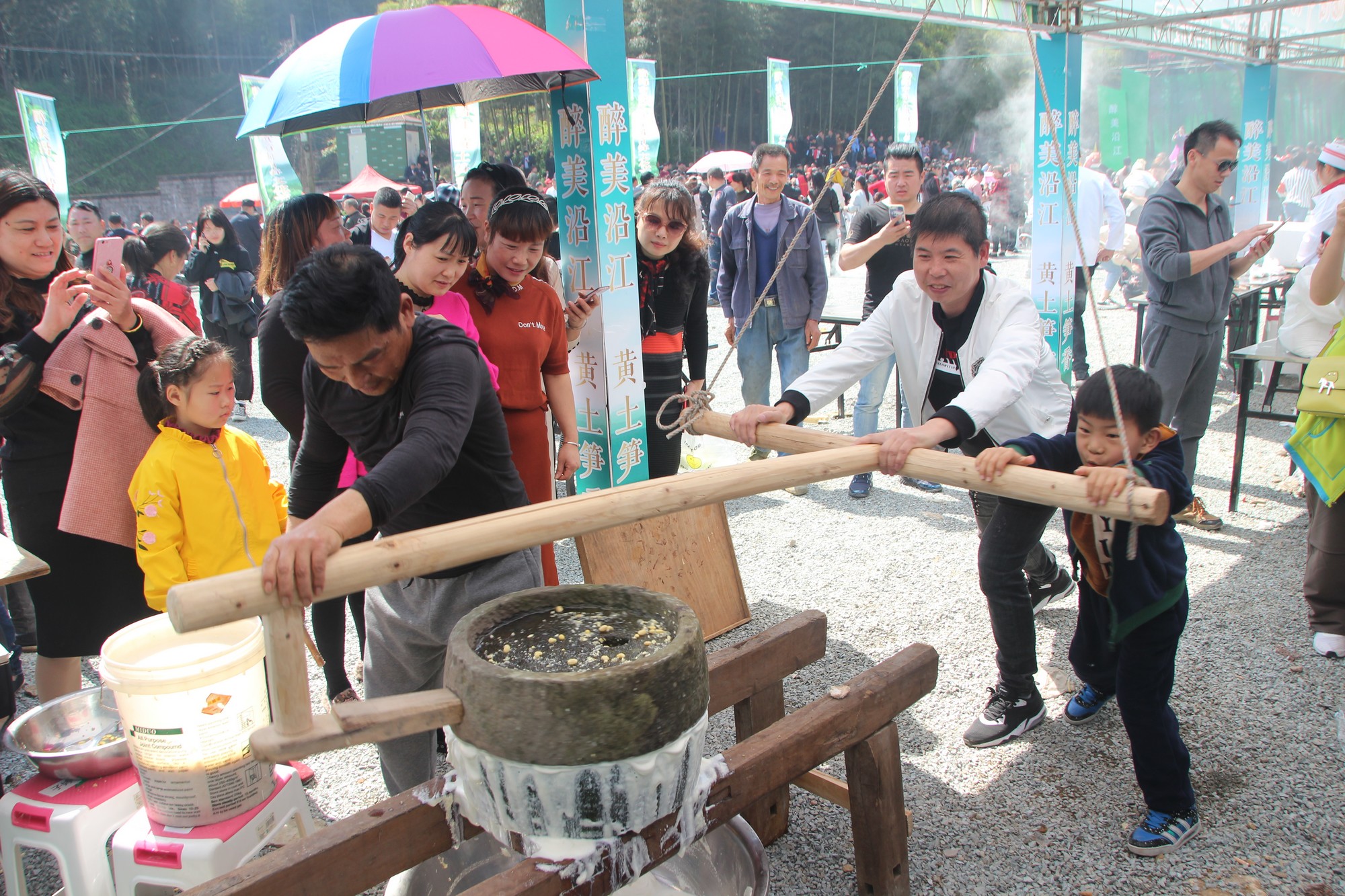 临海黄土山竹笋,浙江竹笋哪里最好