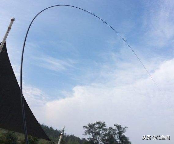 正确挑选出一款好鱼竿的方法,钓鱼竿要怎么选才是好的鱼竿