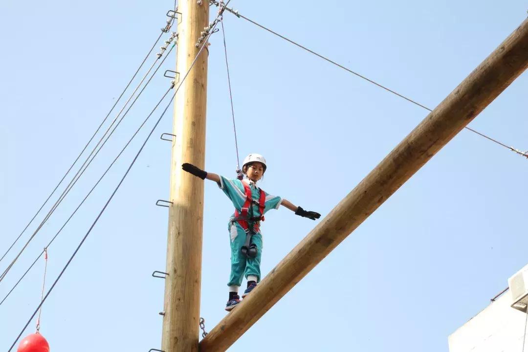 博实乐碧桂园国际学校学费多少,咸宁博实乐碧桂园国际学校怎么样