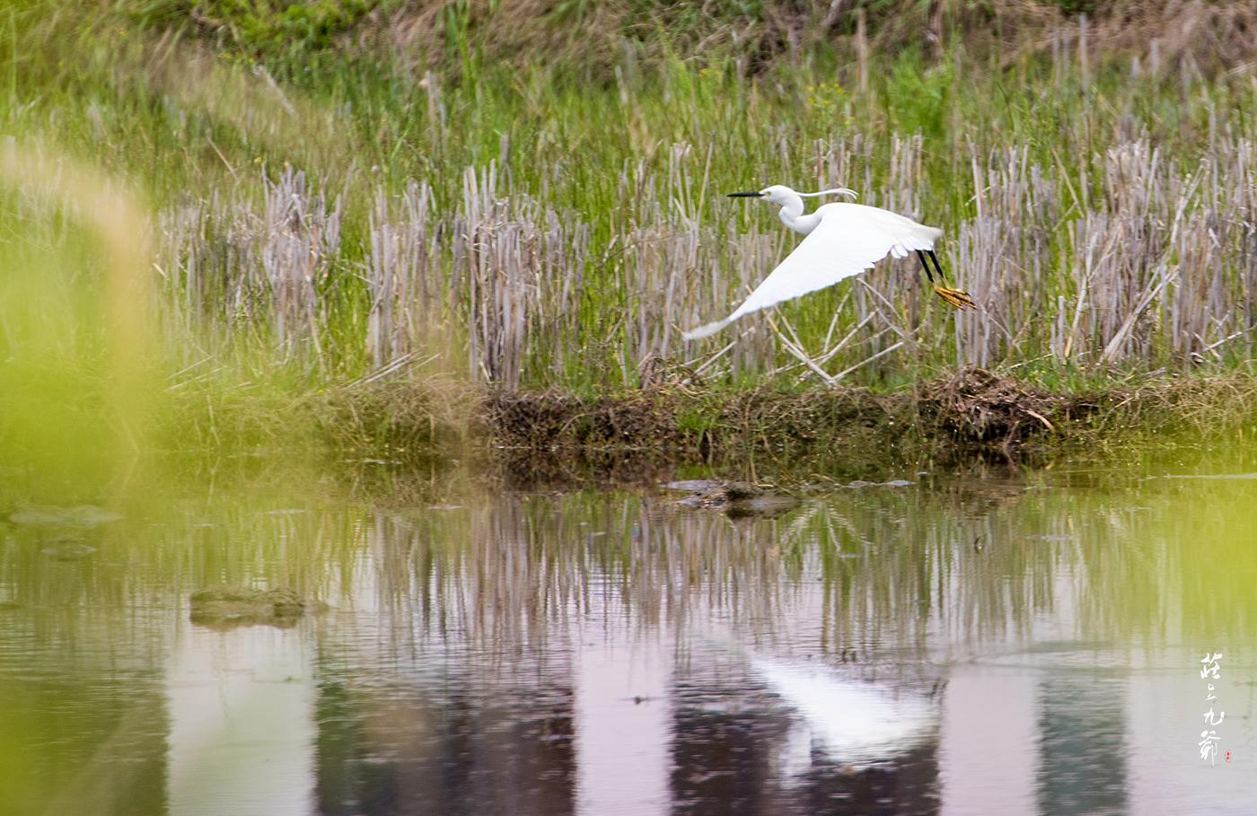 明朝留下来的水缸多少钱,明代的澡堂