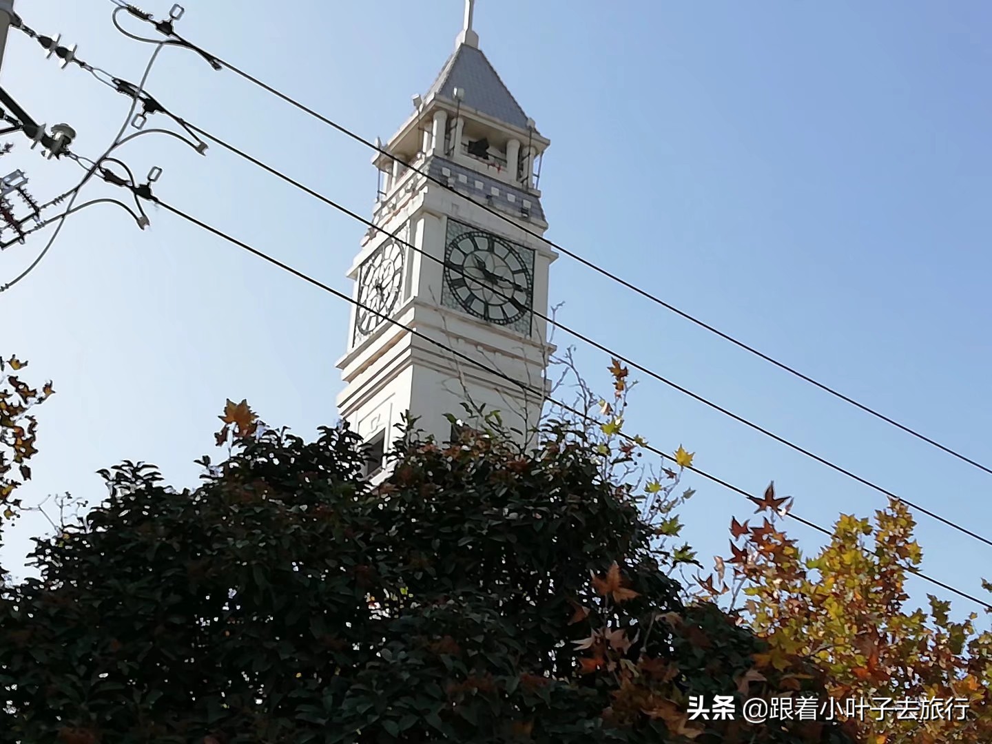 郑州世纪欢乐园改造成公共公园,郑州世纪欢乐园对外开放吗