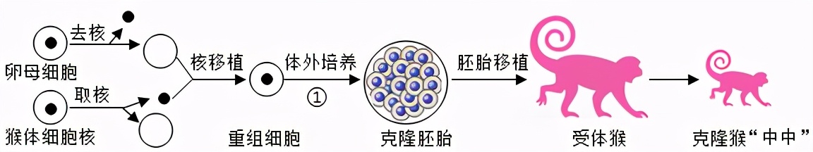 临沂市生物实验操作考试视频,临沂物理实验操作考试试题