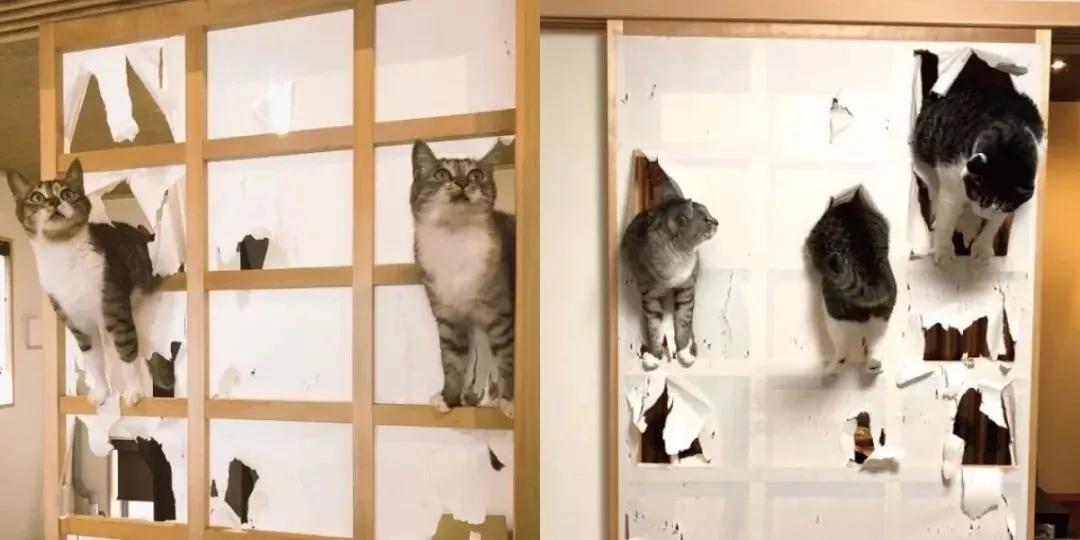 618好物种草大全,小众文具好物推荐