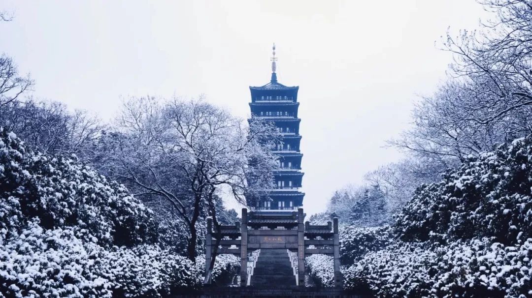 从未逃离,从未逃离过原生家庭