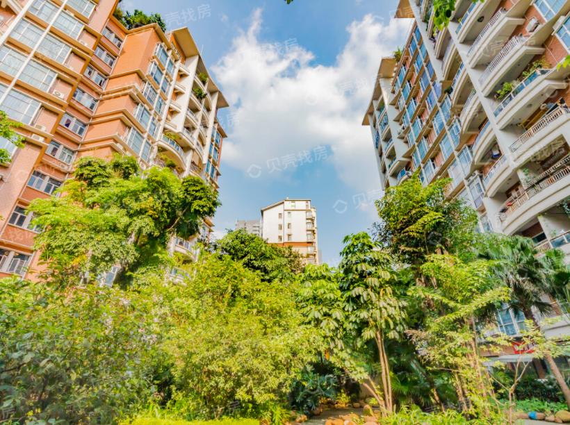 佛山禅城学区房价格,佛山禅城优质小学楼盘