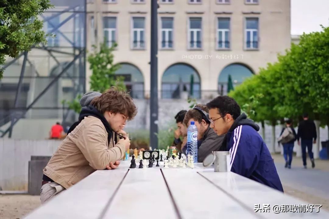 在蓝精灵的故乡邂逅天价纹身*国猪中**，只因我国没有动物保护约束