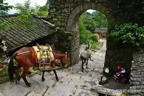 广州周边小众好玩的地方推荐,广州本地附近好玩的古风景点热门