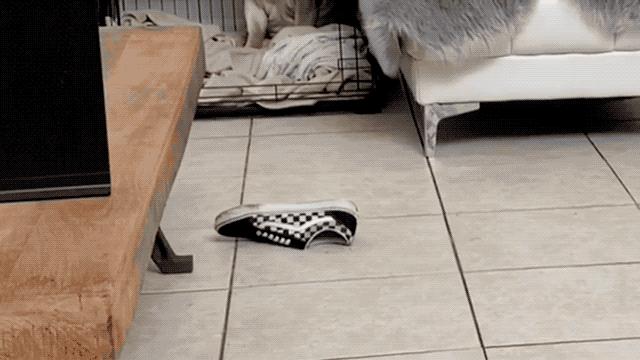 如何鉴定VANS鞋真伪，难道真的要扔一下试试？