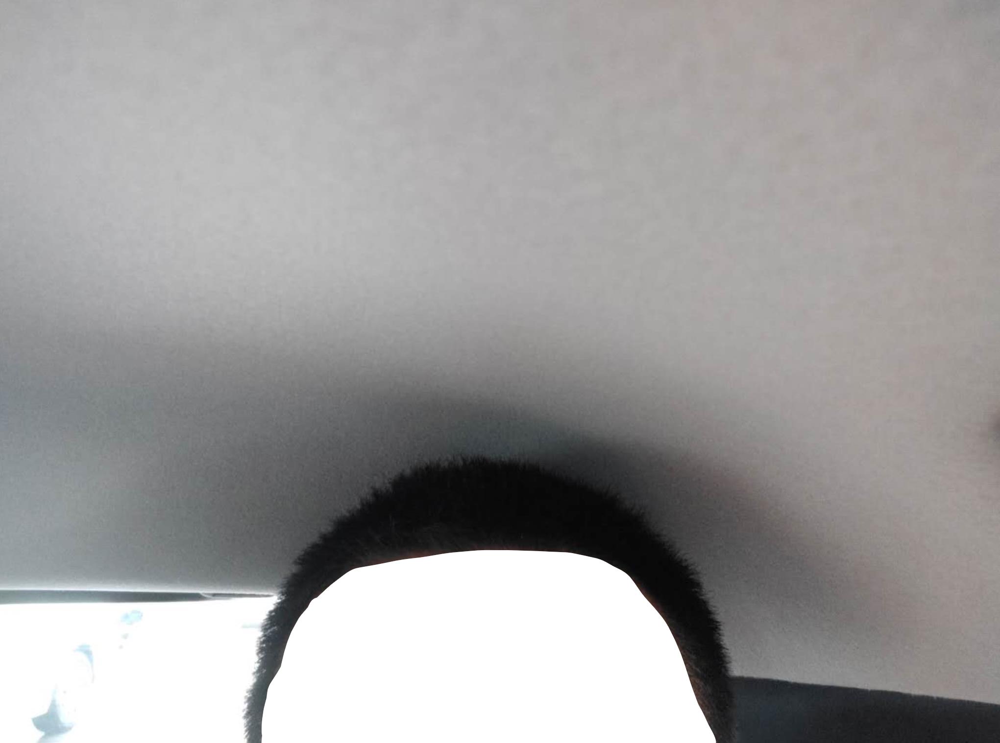 极度理性,广汽本田飞度电动汽车