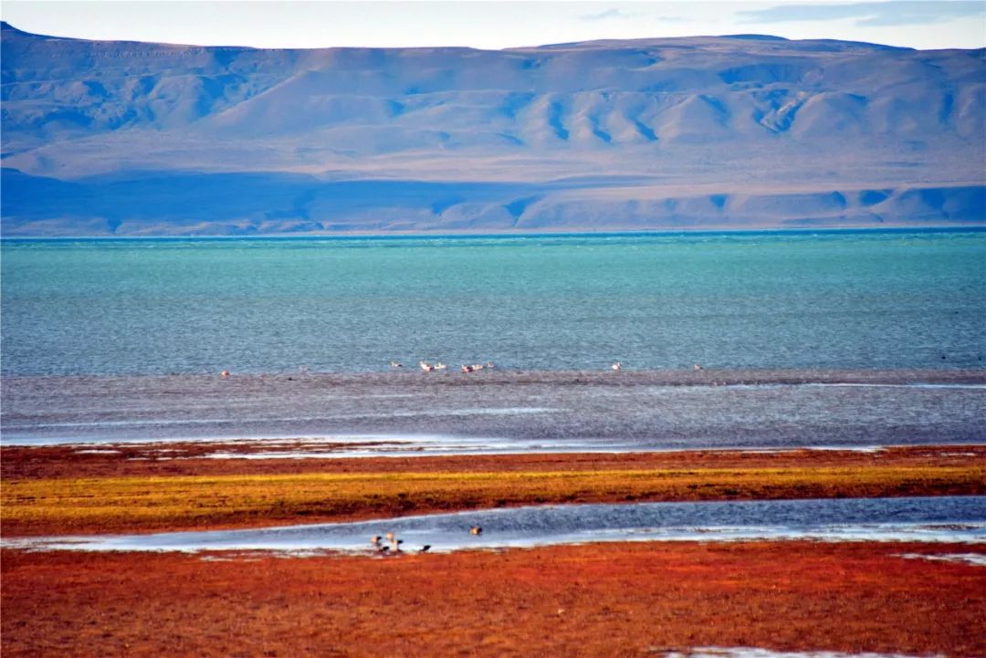 巴西和阿根廷之旅,巴西阿根廷之旅